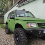 Vopsea Raptor gata colorata verde padure- RA31 1L