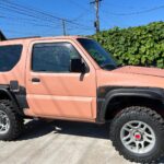 Vopsea Raptor colorata Somon – RA66 1L