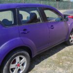Vopsea Raptor colorata Mov– RA55 1L